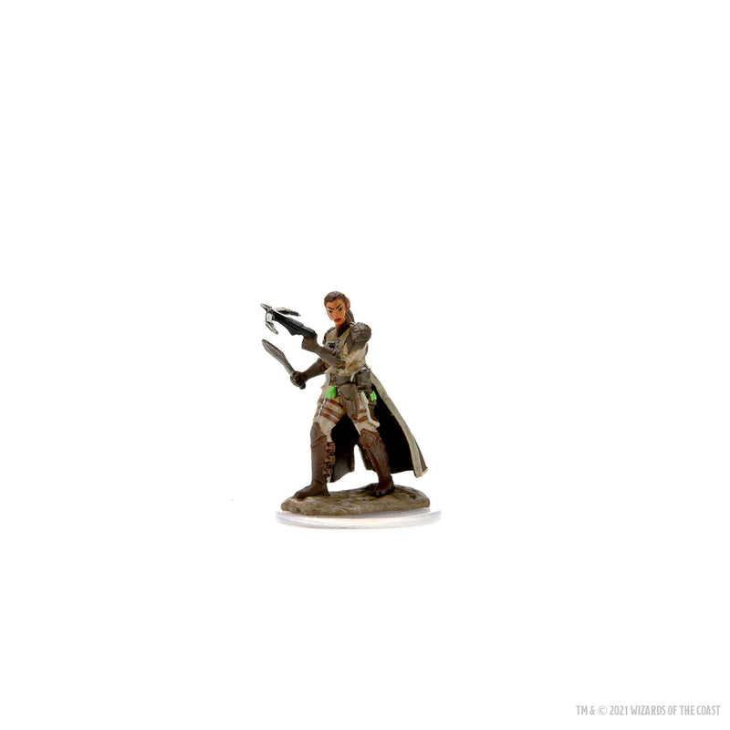 Wizkids Icons of the Realms Premium Miniatures: Shifter Rogue