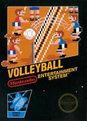 Volleyball [5 Screw] - NES