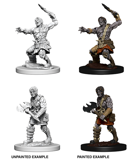 Wizkids Nolzur's Marvelous Miniatures: Nameless One