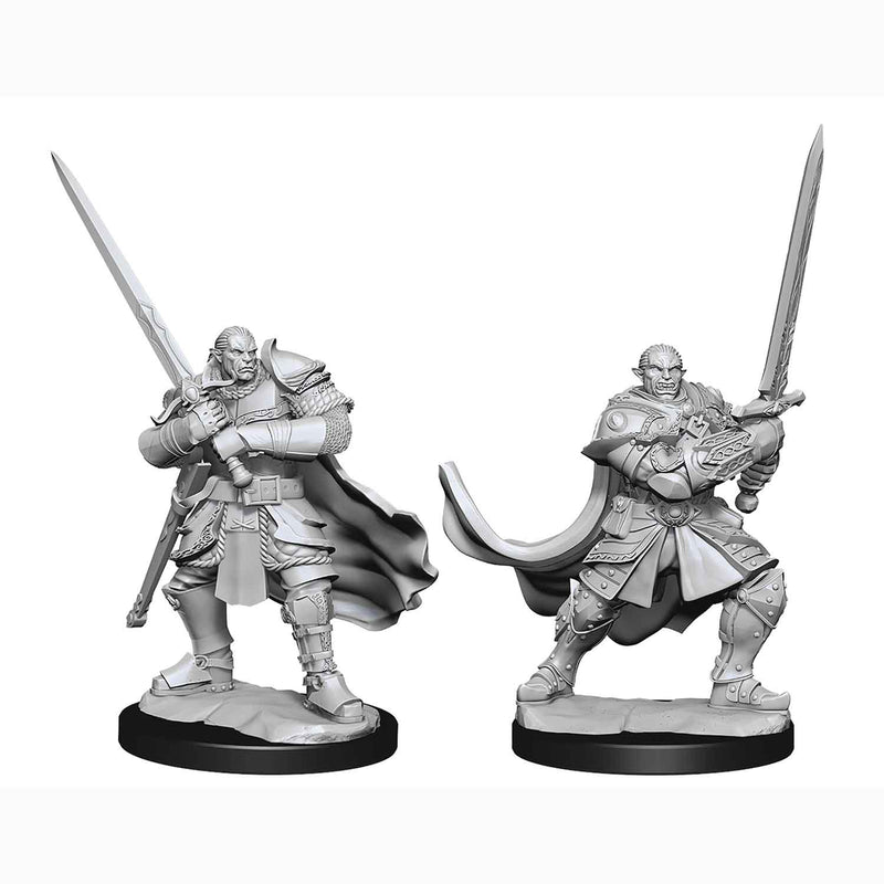 Wizkids Nolzur's Marvelous Miniatures: Half-Orc Paladin Male