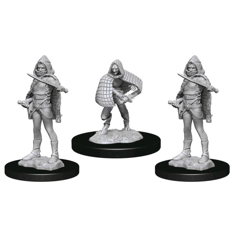 Wizkids Nolzur's Marvelous Miniatures: Darkling Elder & Darklings